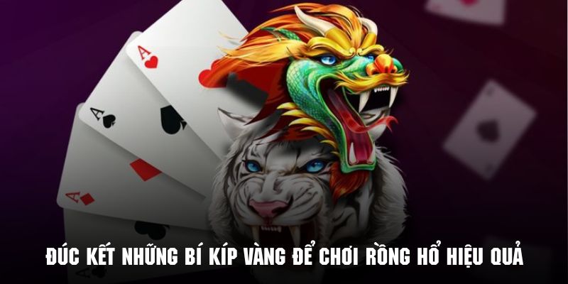 Đúc kết những bí kíp vàng để chơi rồng hổ hiệu quả